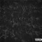 Rokad (feat. MSKO, Bixente & Keros-N) - Tuco lyrics
