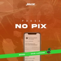 Passa no Pix (feat. Caio Luccas) - Single - T-Rex & Bessi