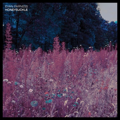 Honeysuckle - Single