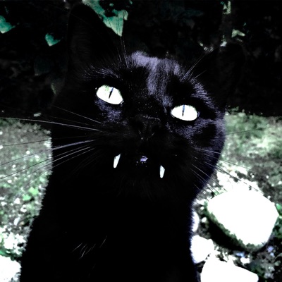 Sticking Out Your Tongue For the Picture - Single