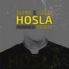 Hosla (feat. Brown & Munab Manay) - Single