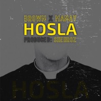 Hosla (feat. Brown & Munab Manay) - Single - Shehroz