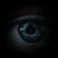 Fine - Single - viXil