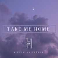 Take Me Home - Single - HERMY