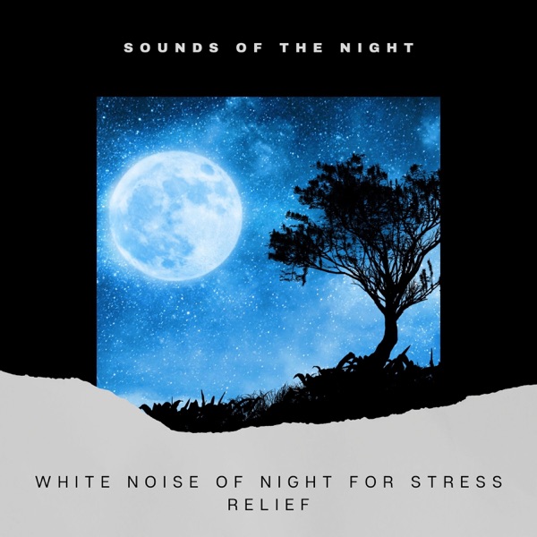 White Noise of Night for Stress Relief
