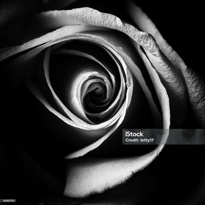 Lágrimas Negras con HIGHVEGAZ - Single