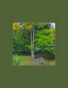 Escucha a SUMIRE, mira vídeos musicales, lee la biografía, consulta fechas de giras y mucho más.