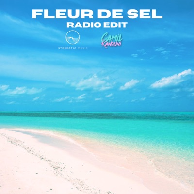 Fleur de sel (feat. Stereotic) [Radio Edit] - Single