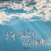 少年知道夏天不会再回来了 - Single - 庄思达