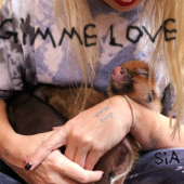 Gimme Love - Sia Cover Art