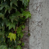 blick - Single - headless_DATA