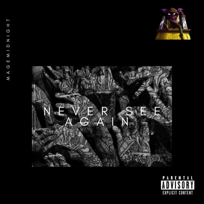 Never See Again - Single