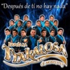 Después de Ti No Hay Nada - Single