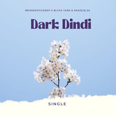 Dark Dindi (feat. Blvck Tank & Shazziq ZA) - Single
