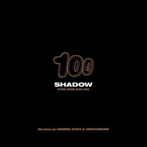 Distorted Dreams (Desired State Remix) / The Shadow (Grooverider Jeep Mix) - Single