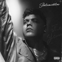 Sentimientos - Single - Trickcode