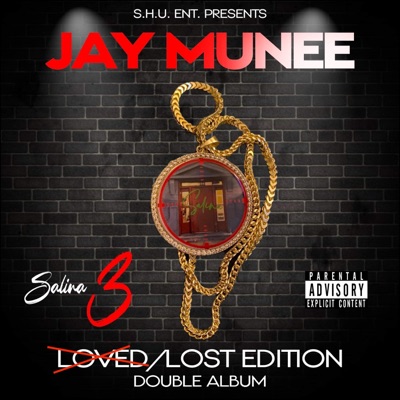 Salina 3 Loved Lost Edition Double Album