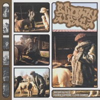 Brown Alpaca - LOOK DAMIEN! & Rahiem Supreme