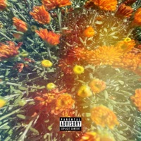 Reciprocity - Corey Gossett