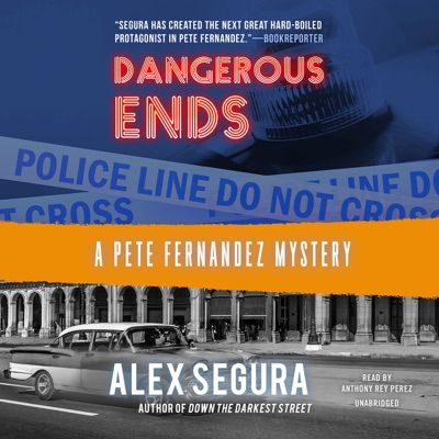 Dangerous Ends: A Pete Fernandez Mystery (The Pete Fernandez Series)