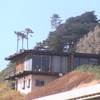 Peak - Single - Xander Wavy