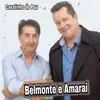 CAVALINHO DE PAU