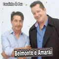 Cavalinho de pau