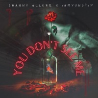 You Don't See Me (feat. iamyungtip) - Single - Shanny Allure