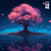 Daydreaming - Single - JANNE