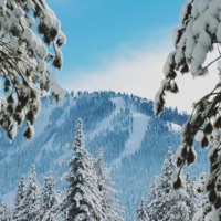 Sierra - Single - Treman