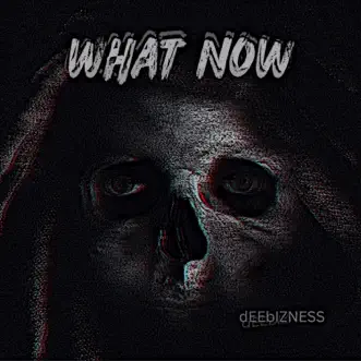 What Now by DeeBizness song reviws