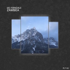 Zawbiea (Short Edits) - Single