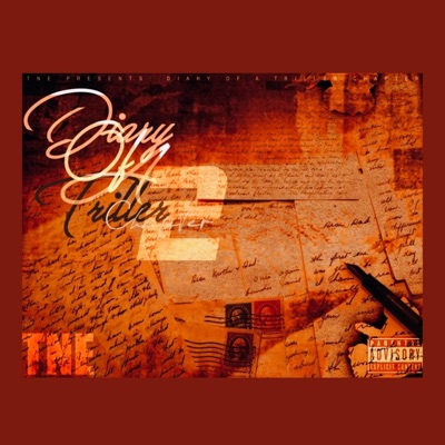 Diary of a Triller Chapter 2