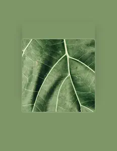 Escucha a Placid White Noise to Sleep Deep, mira videos musicales, lee su biografía, consulta las fechas de las gira y más.