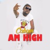 Am High - Single