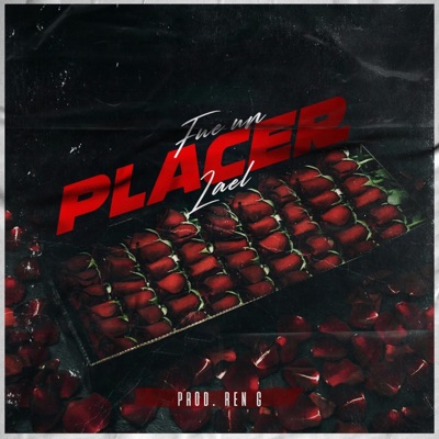 Fue un placer - Single