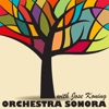 Orchestra Sonora