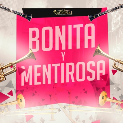 Bonita y Mentirosa - Single