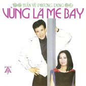 Vùng Lá Me Bay artwork