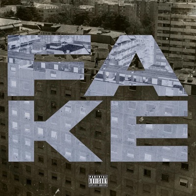 FAKE (feat. Low) - Single