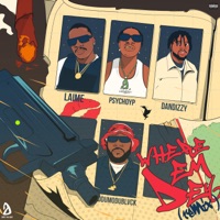 Where Dem Dey (Remix) [feat. PsychoYP, ODUMODUBLVCK & DanDizzy] - Single - Laime