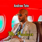 Mr. Producer (Trap Remix) artwork