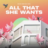 All That She Wants (feat. Raïko) artwork