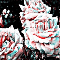 Big Bag - Single - LilTooSad