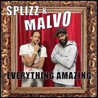 Everything Amazing - Single - Splizzard & Malvo