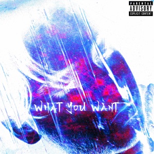 What You Want (feat. Tredaay)