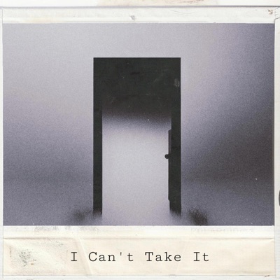 I Can't Take It - Single
