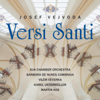 Josef Vejvoda Versi Santi - Verschillende artiesten