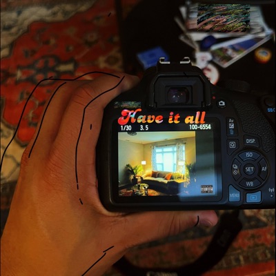 Have It All - Single