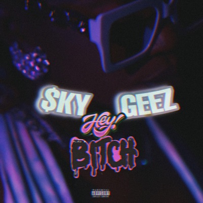 Hey Bitch - Single